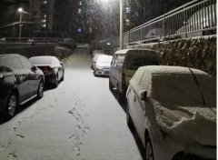 青島！大雪！大愛！